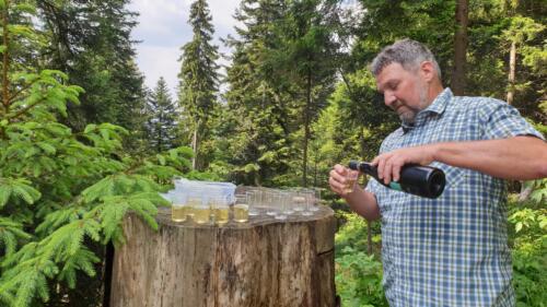 Schlagzeugwanderung 2022